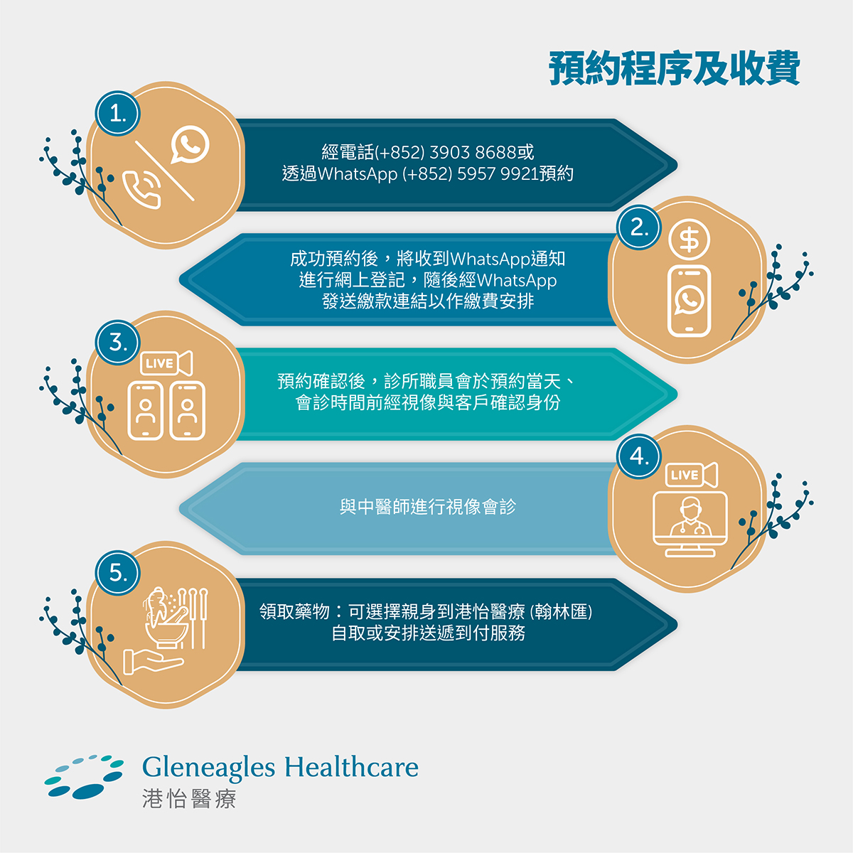 中醫視像會診